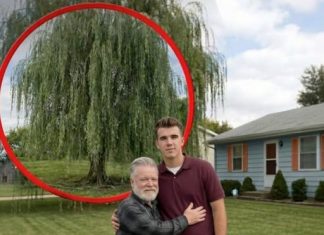 Moj deda, koji me je sam odgajao, preminuo je — nakon njegove sahrane, pronašao sam pismo u kojem mi nalaže da KOPAM ispod plačljive vrbe.