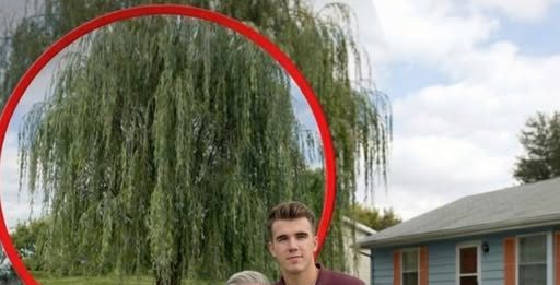 Moj deda, koji me je sam odgajao, preminuo je — nakon njegove sahrane, pronašao sam pismo u kojem mi nalaže da KOPAM ispod plačljive vrbe.