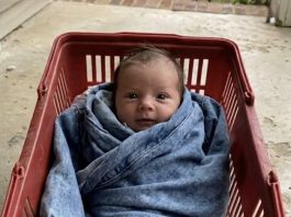 Nestala mi je kćerka prije pet godina — a onda sam jedno jutro na pragu našla bebu umotanu u NJENU jaknu.