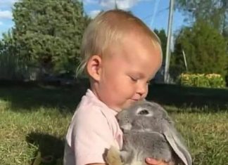 “Mama, ja ću biti dobro… moram, zbog njega.”….Rjeci koje su promjenile sve….