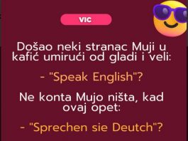 VIC: Mujo i strani jezici