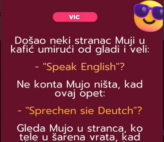 VIC: Mujo i strani jezici