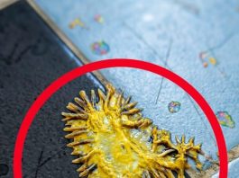 Pronašao sam ovo u kupaonici svoje djevojke. Gledamo to već sat vremena i još uvijek ne možemo shvatiti što je to.