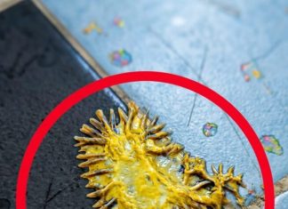 Pronašao sam ovo u kupaonici svoje djevojke. Gledamo to već sat vremena i još uvijek ne možemo shvatiti što je to.