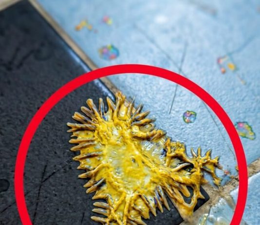 Pronašao sam ovo u kupaonici svoje djevojke. Gledamo to već sat vremena i još uvijek ne možemo shvatiti što je to.