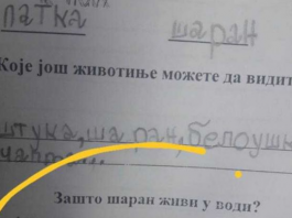 Na pitanje “zašto šaran živi u vodi” đak prvak dao URNEBESAN ODGOVOR: Kad malo bolje razmislite, zapravo je GENIJALAN