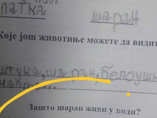 Na pitanje “zašto šaran živi u vodi” đak prvak dao URNEBESAN ODGOVOR: Kad malo bolje razmislite, zapravo je GENIJALAN