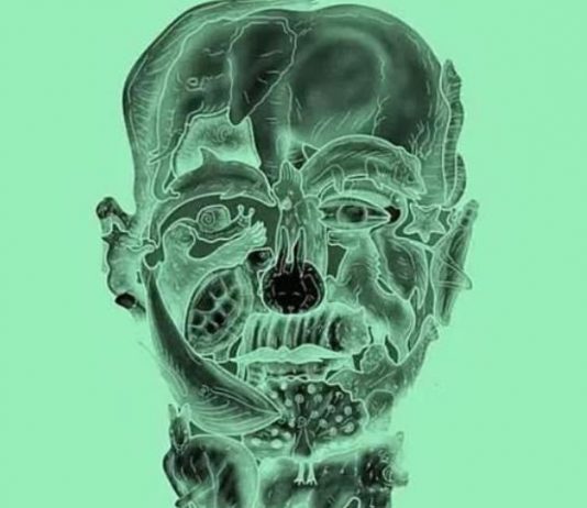 Ne varaj,prva životinja koju vidis otkrit će tvoju najgoru manju