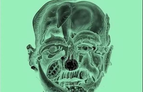 Ne varaj,prva životinja koju vidis otkrit će tvoju najgoru manju