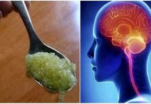 I LJEKARI ZBUNJENI: Ovaj recept povećava memoriju i koncentraciju za 75% nakon samo 2 sedmice