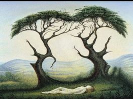 Šta ste prvo ugledali na slici. To otkriva vašu veliku tajnu