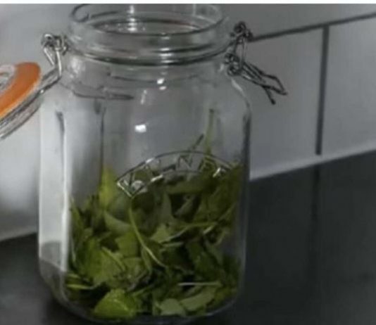 ČAJ OD OVE BILJKE SE PIJE PRED SPAVANJE: Uspavaće vas kao malu bebu i obrisati nervozu u sekundi – morate probati