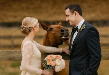 Tokom svadbenog fotografisanja, moj konj je iznenada počeo da rže kad je video mog verenika, a zatim ga je ugrizao — tek kasnije sam shvatila zašto…