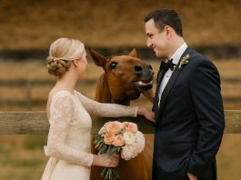 Tokom svadbenog fotografisanja, moj konj je iznenada počeo da rže kad je video mog verenika, a zatim ga je ugrizao — tek kasnije sam shvatila zašto…