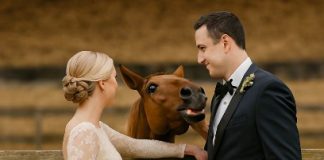 Tokom svadbenog fotografisanja, moj konj je iznenada počeo da rže kad je video mog verenika, a zatim ga je ugrizao — tek kasnije sam shvatila zašto…