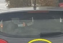 D0DA0 JE 2 slova uz marku svog auta i nasmejao ceo Balkan do suza… (foto)