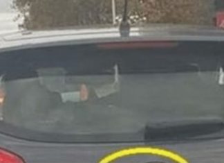 D0DA0 JE 2 slova uz marku svog auta i nasmejao ceo Balkan do suza… (foto)