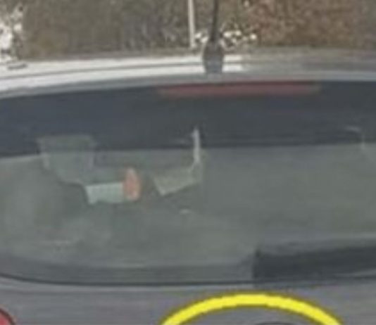 D0DA0 JE 2 slova uz marku svog auta i nasmejao ceo Balkan do suza… (foto)