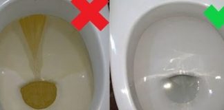 Nije sirće ni soda bikarbona: Ovo sredstvo najbolje uklanja kamenac u WC šolji
