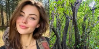 Otišla sama u šumu da razbistri misli i nestala bez traga: Nedeljama kasnije drvoseča pronalazi kavez na drvetu 12m iznad zemlje, a prizor unutra zaledio ga je