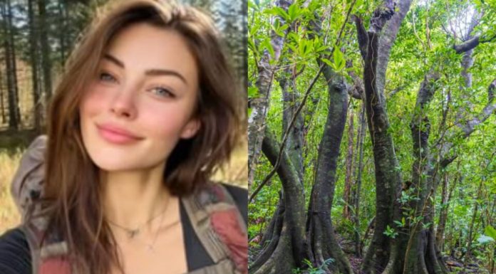 Otišla sama u šumu da razbistri misli i nestala bez traga: Nedeljama kasnije drvoseča pronalazi kavez na drvetu 12m iznad zemlje, a prizor unutra zaledio ga je