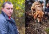 Pas je uznemireno lajao i poveo me u šumu, a onda sam nakon 30 godina saznao istinu o nestanku svog oca: Prizor koji sam zatekao sledio mi je krv u žilama