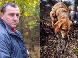 Pas je uznemireno lajao i poveo me u šumu, a onda sam nakon 30 godina saznao istinu o nestanku svog oca: Prizor koji sam zatekao sledio mi je krv u žilama