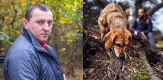 Pas je uznemireno lajao i poveo me u šumu, a onda sam nakon 30 godina saznao istinu o nestanku svog oca: Prizor koji sam zatekao sledio mi je krv u žilama