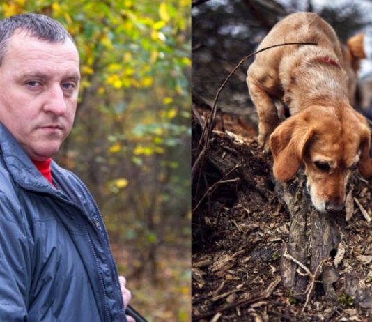 Pas je uznemireno lajao i poveo me u šumu, a onda sam nakon 30 godina saznao istinu o nestanku svog oca: Prizor koji sam zatekao sledio mi je krv u žilama