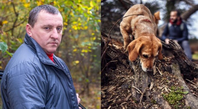 Pas je uznemireno lajao i poveo me u šumu, a onda sam nakon 30 godina saznao istinu o nestanku svog oca: Prizor koji sam zatekao sledio mi je krv u žilama