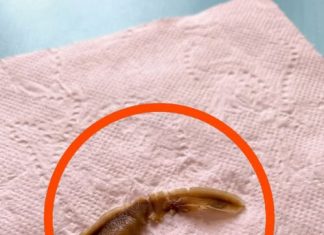 Neobičan predmet u kući: šta može biti i kada treba da se zabrinete