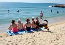 Prijateljice su se odmarale na plaži kada je pas dotrčao do njih i počeo da laje — jedna od žena je iznenada pobledela kad je primetila nešto u njegovom krznu.