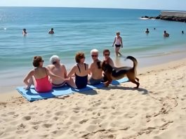 Prijateljice su se odmarale na plaži kada je pas dotrčao do njih i počeo da laje — jedna od žena je iznenada pobledela kad je primetila nešto u njegovom krznu.