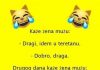 Vic dana : preljuba