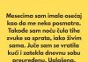 „Poslednjih nekoliko meseci imala sam osećaj kao da me neko posmatra.”