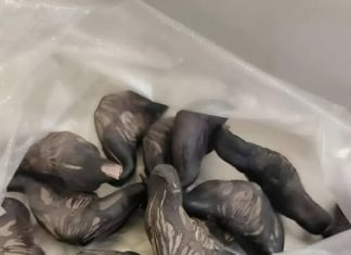 Strani susjedi su mi dali ovo i poželjeli mi „prijatno“, ali bilo je nešto tvrdo i uopće nije ličilo na hranu, više kao jaje.
