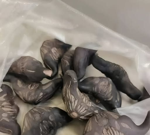 Strani susjedi su mi dali ovo i poželjeli mi „prijatno“, ali bilo je nešto tvrdo i uopće nije ličilo na hranu, više kao jaje.