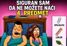 Viralna Mozgalica Koja Je Zaludjela Internet- Možete Li Pronaći Sva 4 Skrivena Predmeta?!?!