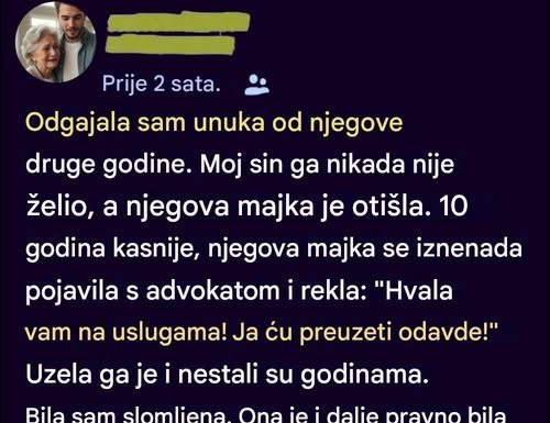 Odvela je mog unuka iako sam ga ja odgajila — godinama kasnije vratio se kao potpuno drugačija osoba…