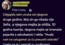 Odvela je mog unuka iako sam ga ja odgajila — godinama kasnije vratio se kao potpuno drugačija osoba…
