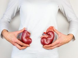 JEDNA ČAŠA UJUTRO I NAVEČER: Ovi listovi mogu očistiti vaše bubrege i učiniti da rade besprijekorno!