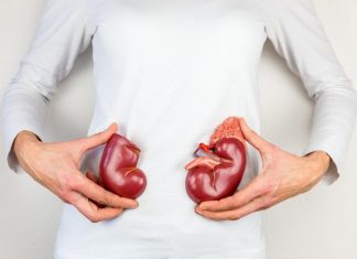 JEDNA ČAŠA UJUTRO I NAVEČER: Ovi listovi mogu očistiti vaše bubrege i učiniti da rade besprijekorno!