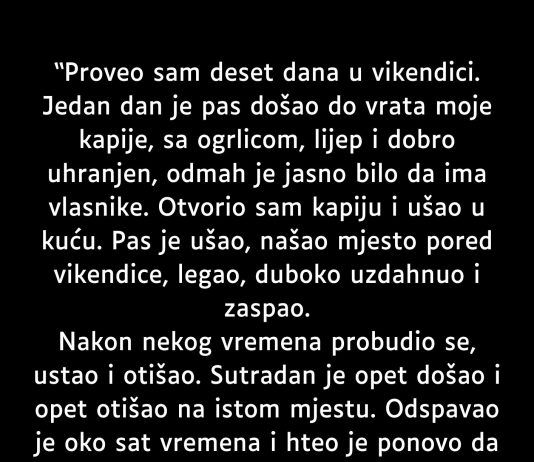 Proveo sam deset dana u vikendici…