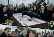 CRNI GAVRAN SLETIO JE NA KOVČEG DJEČAKA TOKOM SAHRANE: Kada je stari grobar izgovorio OVE riječi, cijelo selo je zanijemilo 😢🖤