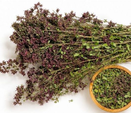 Ovo je najzdraviji čaj na svetu: Sprečava sve od obične prehlade do kancera! (RECEPT)
