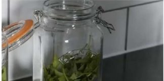 ČAJ OD OVE BILJKE SE PIJE PRED SPAVANJE: Uspavaće vas kao malu bebu i obrisati nervozu u sekundi – morate probati