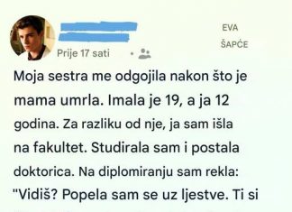 Sestrina tiha snaga: Ljubav koja menja sve…