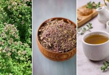 OVO JE NAJZDRAVIJI ČAJ NA SVIJETU: SPRJEČAVA SVE OD OBIČNE PREHLADE DO KANCERA! (RECEPT)