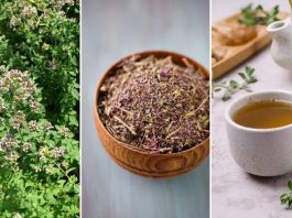 OVO JE NAJZDRAVIJI ČAJ NA SVIJETU: SPRJEČAVA SVE OD OBIČNE PREHLADE DO KANCERA! (RECEPT)