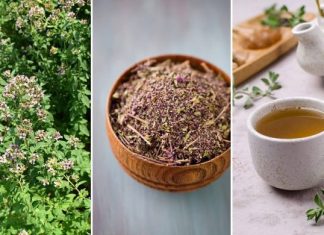 OVO JE NAJZDRAVIJI ČAJ NA SVIJETU: SPRJEČAVA SVE OD OBIČNE PREHLADE DO KANCERA! (RECEPT)